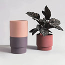 A stack of bright porcelain flowerpot planters containing various houseplants and herbs, with visible petals and foliage.