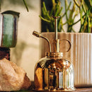 Bronze vintage brass plant mist sprayer with a glass bottle on a wooden surface, surrounded by plants.