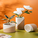 Ceramic flowerpot in linen color with a flowering orange plant, featuring multiple branches and petals, suitable for indoor use.
