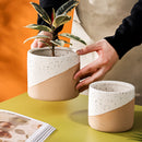 Ceramic flowerpot in linen with houseplant, displayed on a table.