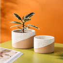 Small, medium, and large ceramic flowerpots in linen color, featuring various houseplants including Arecales and flowering plants, positioned on a hardwood surface.