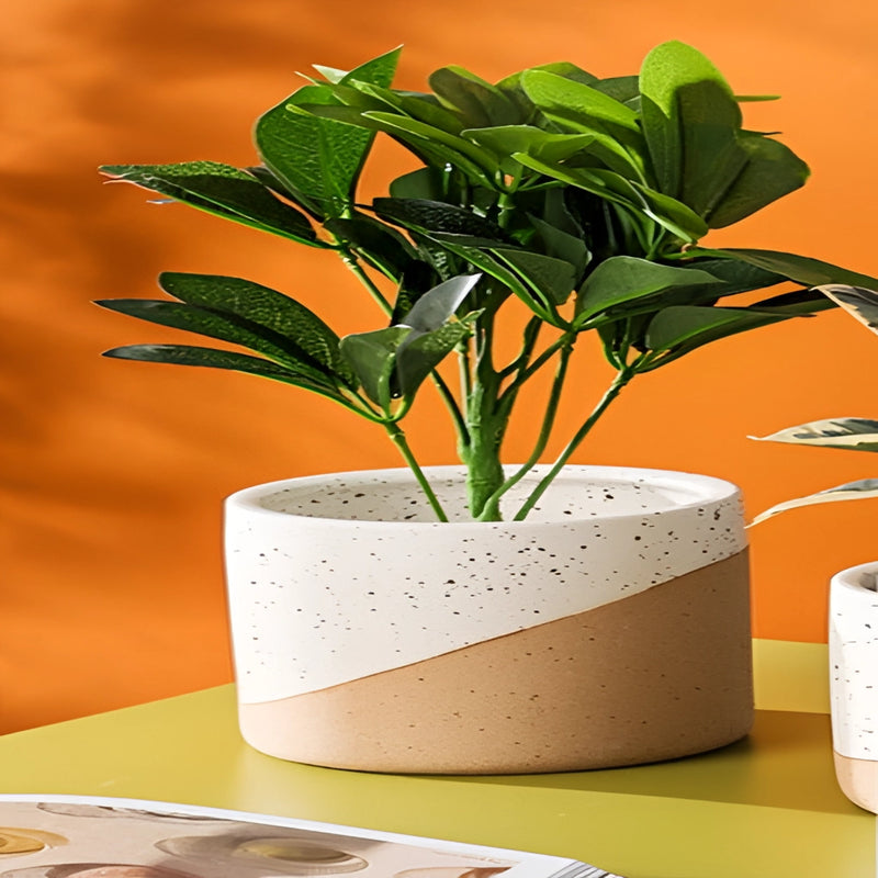 Assorted sizes of ceramic flowerpots in linen color, each containing a different type of houseplant, displayed artistically.