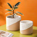 Ceramic flowerpot in linen color containing a small houseplant, positioned beside other similar flowerpots of varying sizes.