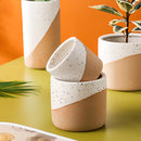 Ceramic flowerpot in linen color with houseplant, displayed alongside various dishware items on a table.