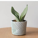 Hand-painted ceramic planters featuring textured designs with various houseplants and flowering plants.