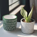 Ceramic hand-painted planters featuring textured designs with a variety of houseplants, displayed on a table surrounded by dishware and serveware elements.