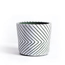 Colorful ceramic hand-painted planters featuring intricate textured designs on a vivid electric blue background, displayed alongside various artistic and musical-themed decorations.