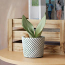 Hand-painted ceramic planters with textured designs, featuring houseplants, placed on a wooden table in a well-decorated interior setting.