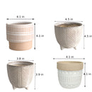 White ceramic plant pots with island holiday patterns, displayed in a rectangular arrangement.