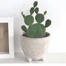 Ceramic plant pots with tropical designs, featuring foliage and floral patterns, suitable for houseplants.