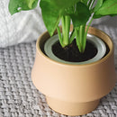 Glazed ceramic planter in rosa with a green houseplant, featuring a Scandinavian style design, surrounded by soil and small greenery.