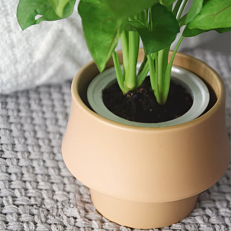 Glazed ceramic planter in rosa with a green houseplant, featuring a Scandinavian style design, surrounded by soil and small greenery.
