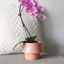 Pink ceramic planter in Rosa with a glazed finish, featuring a Scandinavian style design, filled with a flowering houseplant.
