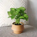 Glazed ceramic planter in camel color, featuring a Scandinavian style design, filled with a variety of lush green houseplants.