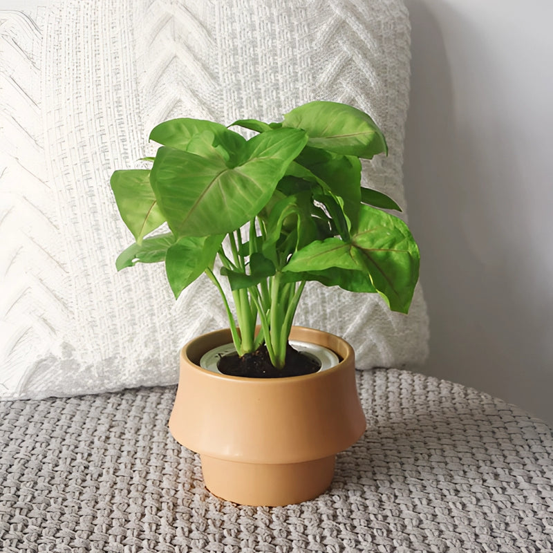 Glazed ceramic planter in camel color, featuring a Scandinavian style design, filled with a variety of lush green houseplants.