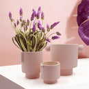 Ceramic vase in earthy tones featuring Scandinavian design, displayed with flowers and houseplants, with a backdrop of purple and violet hues.