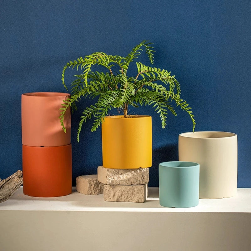 Colorful ceramic planter and saucer set featuring houseplants, arranged on wooden shelving against an electric blue wall in a room.