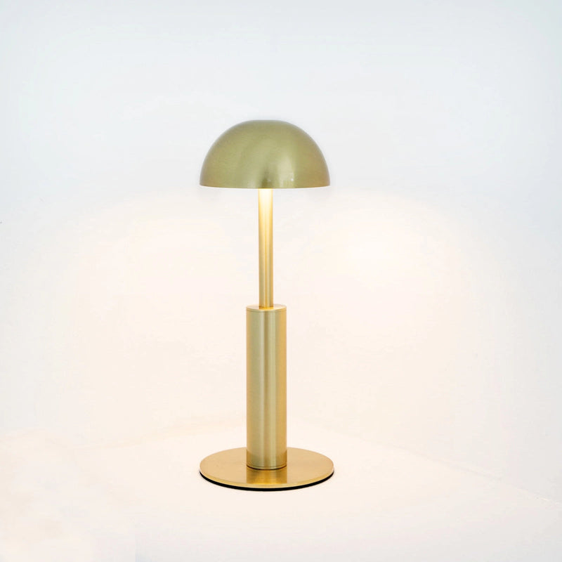 Cordless rechargeable table lamp featuring a unique sculptural design, crafted from wood with a circular glass lampshade, set against an artistic backdrop with tints and shades.