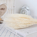 A set of 30 dried pampas grass flowers displayed on a wooden table alongside decorative items including a clock and linens, enhancing an artistic interior setting.