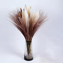 A set of 30 dried pampas grass flowers in a vase, showcasing natural feather-like textures and a blend of beige and electric blue colors, ideal for interior decoration.