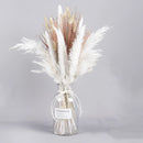 A set of 30 dried pampas grass flowers arranged artistically, featuring natural feathery textures and hues suitable for interior decoration.