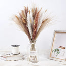 A set of 30 dried pampas grass flowers arranged artistically for interior decoration, displayed alongside tableware and serveware, with natural twig and feather elements, ideal for events and flower arranging.
