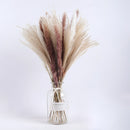 A set of 30 dried pampas grass flowers in a vase, featuring natural feather-like textures and magenta accents, used for interior decoration.