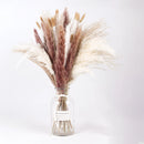Dried Pampas Grass Flowers Set in a vase, featuring natural twigs, feathery grass, and other terrestrial plants, perfect for interior decoration.