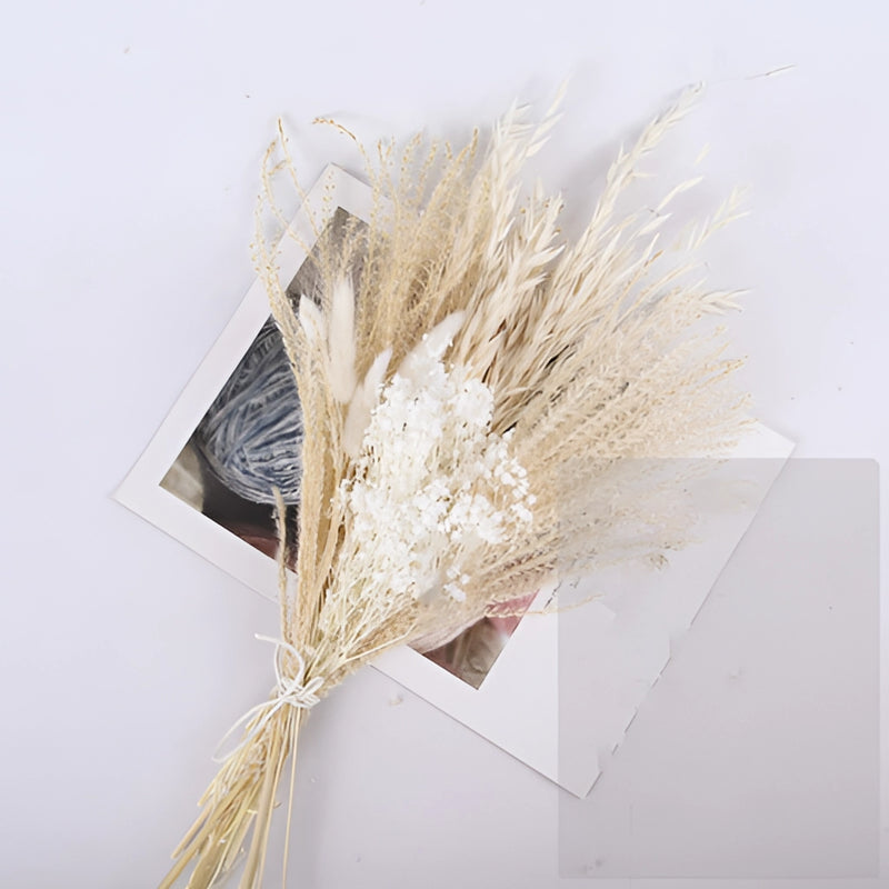Dried pampas grass flowers set featuring 30 pieces, including twigs, wood elements, and feather-like textures, ideal for stylish interior decoration.