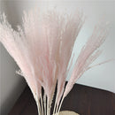 A set of 30 dried pampas grass flowers, featuring fluffy, feather-like tops and slender twigs, ideal for interior decoration.
