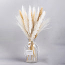 A set of 12 dried pampas grass flowers from a 30-piece interior decoration kit, featuring natural feather-like twigs and artistic elements suitable for events or as fashion accessories.