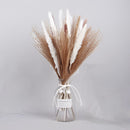 Set of 10 dried pampas grass flowers displayed as part of an interior decoration kit, featuring natural feather-like textures on twigs, arranged artistically on a table.