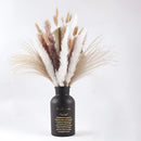 A set of 30 dried pampas grass flowers for interior decoration, featuring natural twig and feather-like textures.
