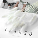 Set of 30 dried pampas grass flowers for interior decoration, displayed artistically as a fashion accessory with feather-like textures and subtle line details.