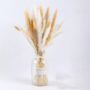 A set of 30 dried pampas grass flowers arranged in a vase, displaying a natural and artistic look, ideal for interior decoration.