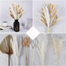 A set of 30 dried pampas grass flowers featuring natural beige, white, and yellow tones, arranged with leaves and branches, ideal for interior decoration.