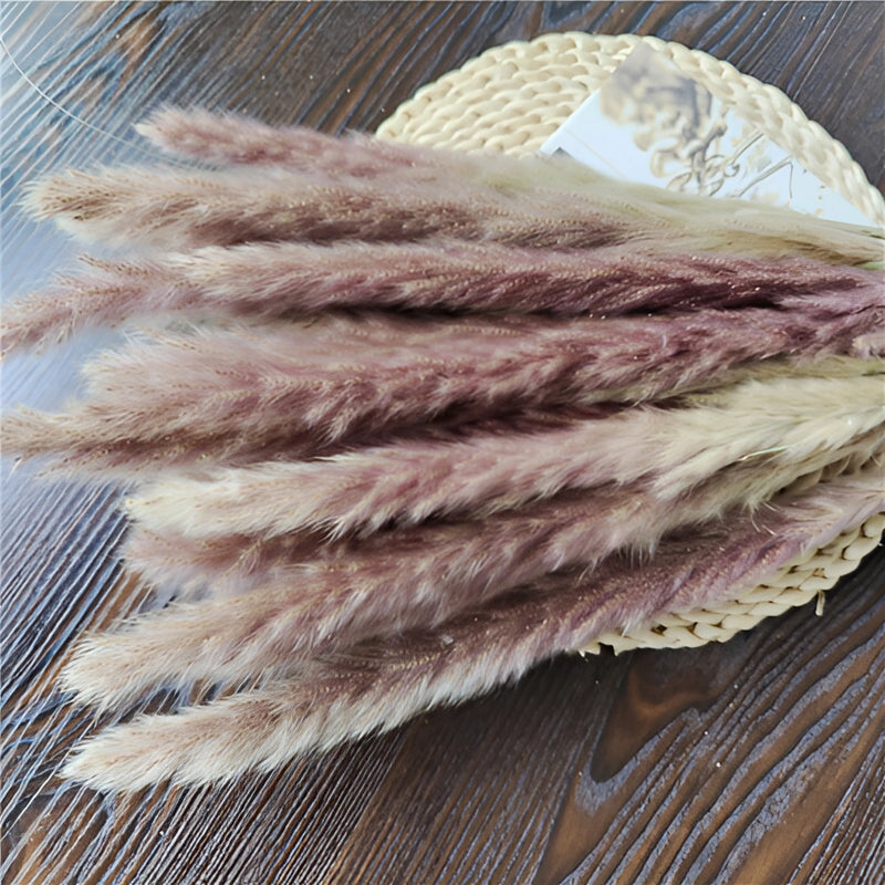 A set of 30 dried pampas grass flowers in various natural shades including magenta and electric blue, ideal for interior decoration.