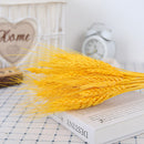 A set of 30 dried pampas grass flowers in light shades of orange and yellow, displayed with a wooden background and natural materials, adding a soft, feather-like texture perfect for interior decoration.