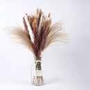 A set of 30 dried pampas grass flowers featuring twigs and feather-like textures, ideal for interior decoration, displayed artistically as a natural and fashionable accessory.