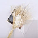 A set of 30 dried pampas grass flowers featuring natural wood and twig textures, perfect for interior decoration.
