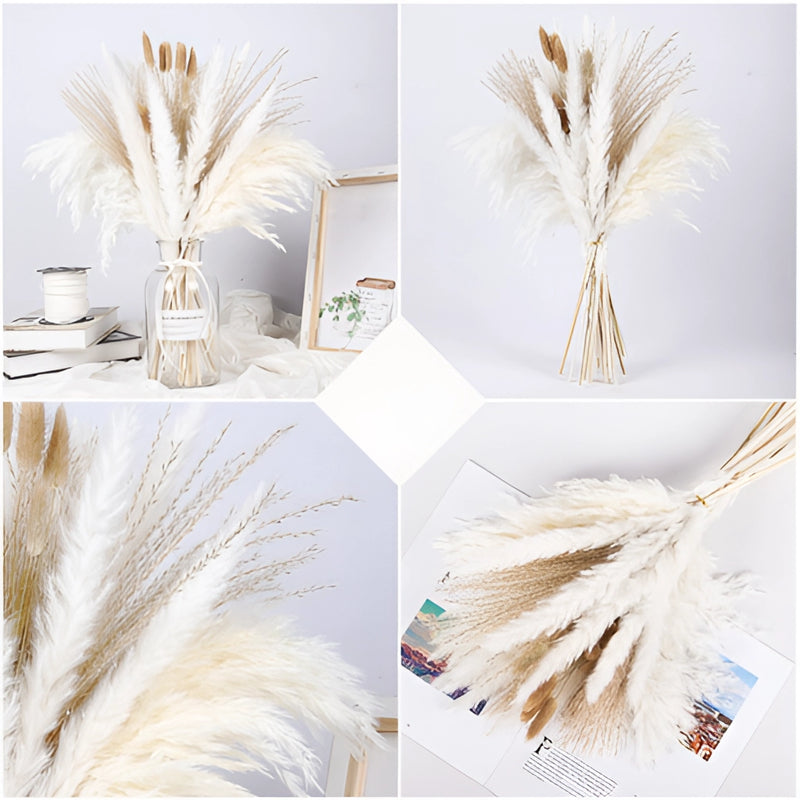 A set of 30 dried pampas grass flowers in white and beige tones, featuring natural, feather-like textures, ideal for interior decoration.