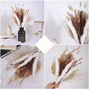 A set of 30 dried pampas grass flowers, featuring natural feather-like textures on twigs, ideal for interior decoration.
