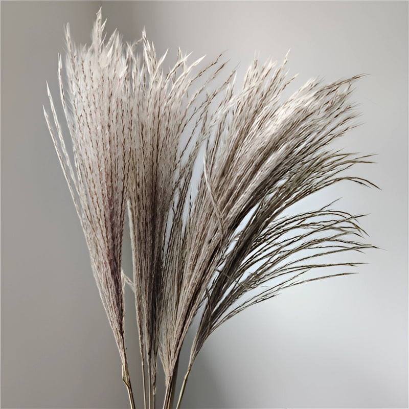 A 30-piece set of dried Pampas grass flowers for interior decoration, featuring natural feather-like twigs and a lush grassy appearance.
