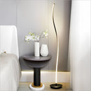 Black floor lamp with remote control featuring three light temperatures, set in a room beside a table with a plant in a vase, enhancing the interior design.