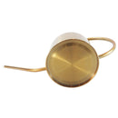 Gold stainless steel watering can for plant care.