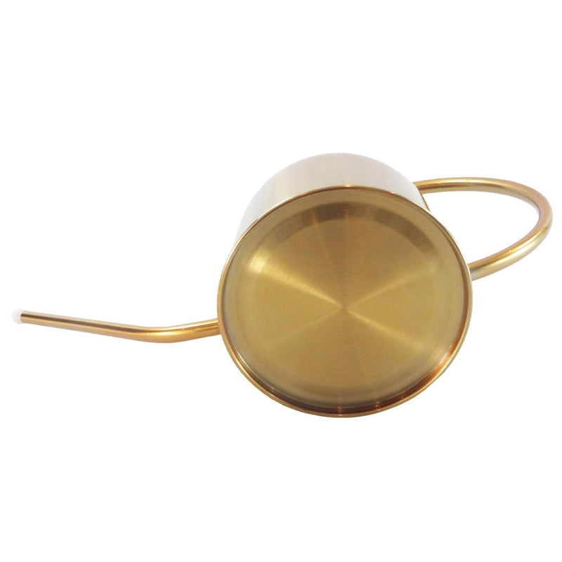 Gold stainless steel watering can for plant care.