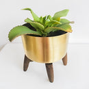 Golden iron plant stand featuring a wooden base, with a houseplant in a flowerpot placed on a table, set against a simple indoor background.