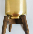 Golden iron plant stand featuring a wooden base, designed with a rectangular metal structure and subtle steel accents, ideal for indoor use.