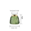 Small green glass vase designed for hydroponic plants, featuring a Nordic style.