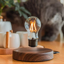 Levitating LED desk lamp with a glowing circle design, set on a walnut base, accompanied by a plant on a wooden table.